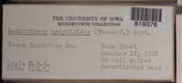 Image Associated With the Occurence